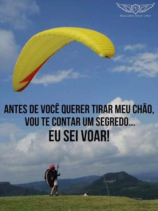 #paraceirosbeta 
#on
#sdv