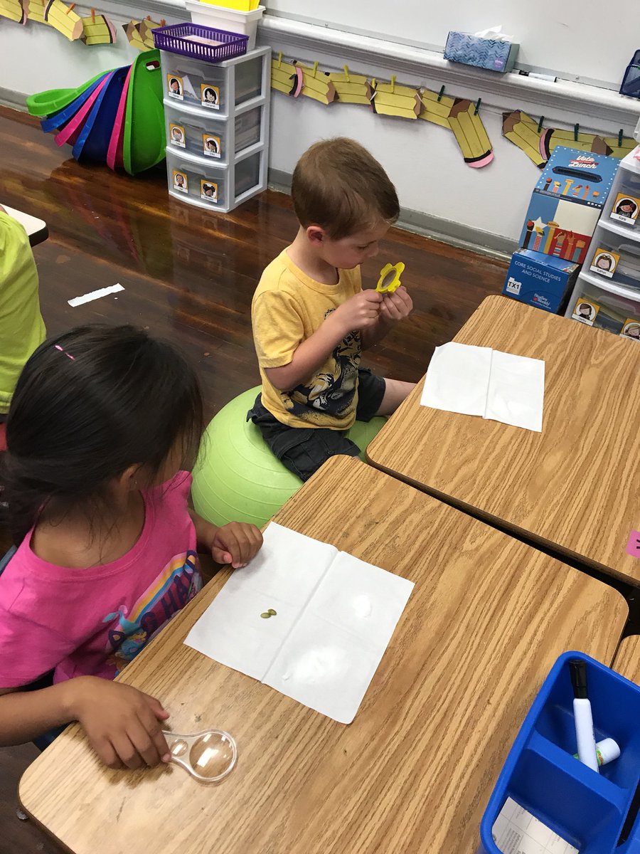 MsLynnNSE's tweet photo. We’re learning about our senses this week!! #exploringthesenses #October17nse @NixonSmileyEL https://t.co/C2VjQIxdA5