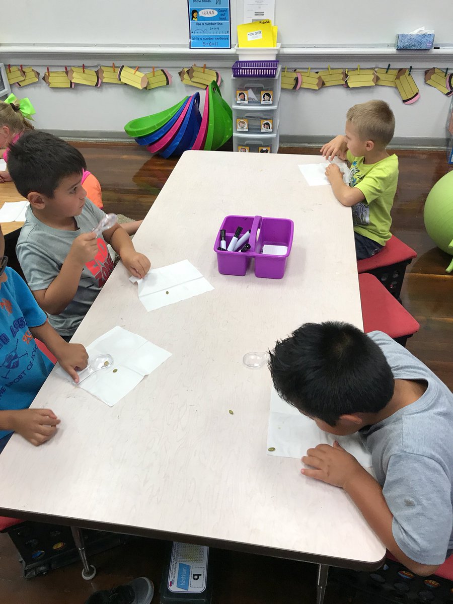MsLynnNSE's tweet photo. We’re learning about our senses this week!! #exploringthesenses #October17nse @NixonSmileyEL https://t.co/C2VjQIxdA5