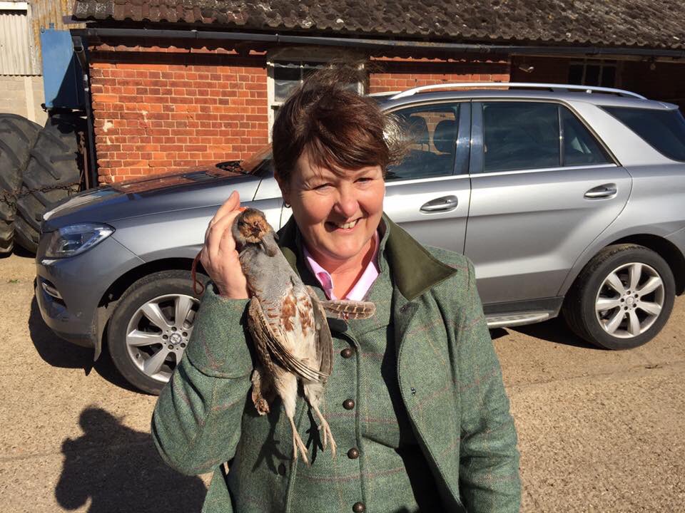 First English partridge for me and only one shot today.