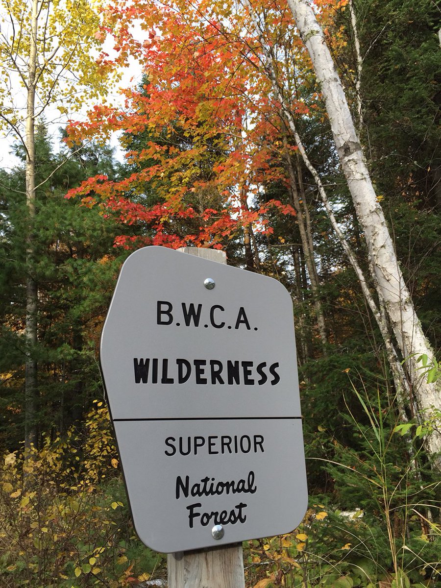 OutdoorNews's tweet photo. Where fall colors, leaf-chasers converge. @mndnr @mnstateparks #FallColorFinder #fallcolors https://t.co/q0TJAiqBeh https://t.co/aB0ApxiM3D