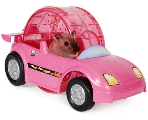 CapSawyer's tweet photo. Just got my girl some new wheels #WhippingExcursion https://t.co/4NlZlM2MY0