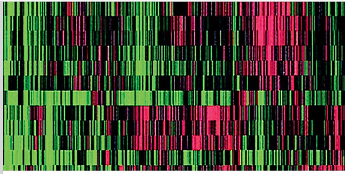 AACR's tweet image. Advance registration deadline: Thursday, Oct. 19 for the Pediatric Cancer Research Conference in December. sm.aacr.org/kjif30fkPHH