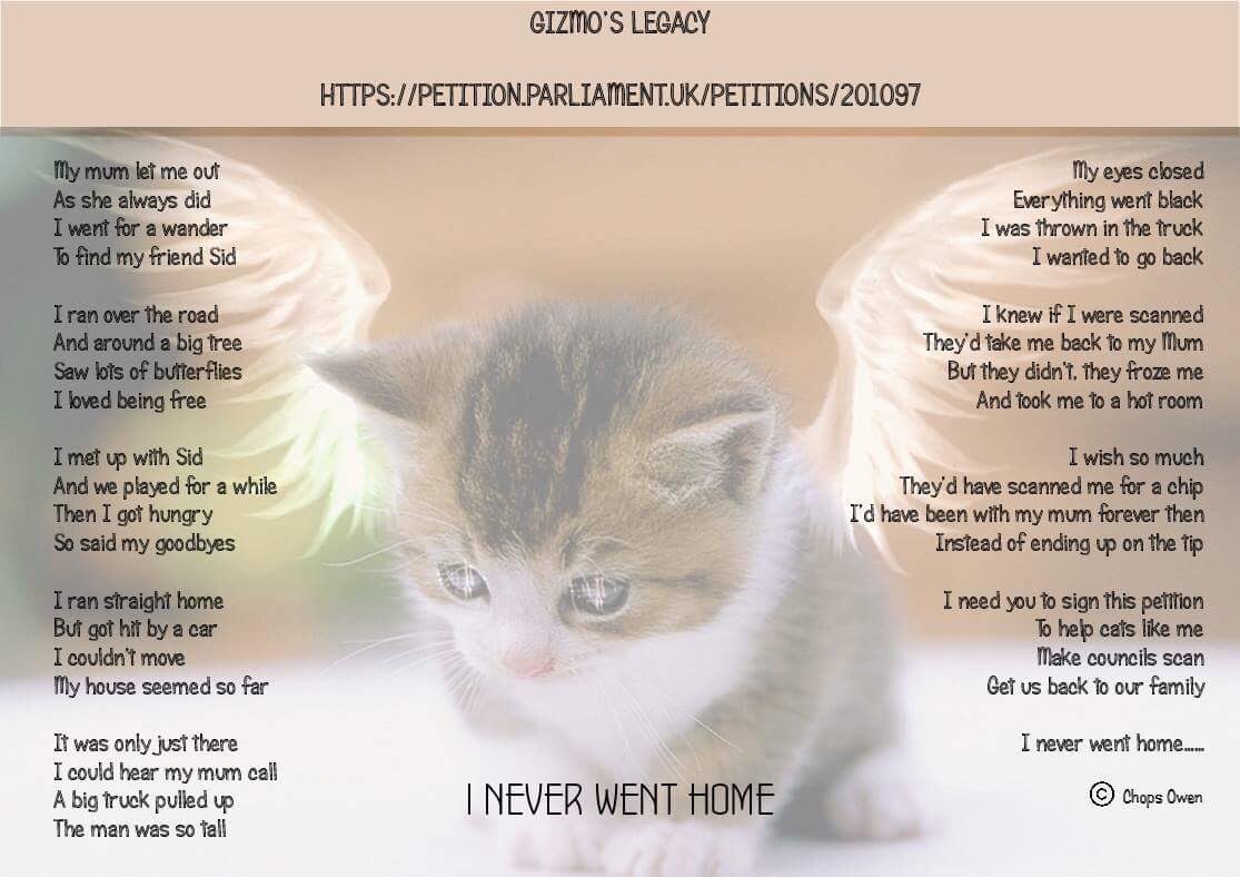 Chops (@chipcheckchops) on Twitter photo Please sign the petition and make councils scan deceased Cats found on our roads <a href="/CPMediaTeam/">CatsProtectionMedia</a> <a href="/LostboxUK/">Lostbox-Lost & Found</a>
petition.parliament.uk/petitions/2010… Please sign the petition and make councils scan deceased Cats found on our roads <a href="/CPMediaTeam/">CatsProtectionMedia</a> <a href="/LostboxUK/">Lostbox-Lost & Found</a>
petition.parliament.uk/petitions/2010…