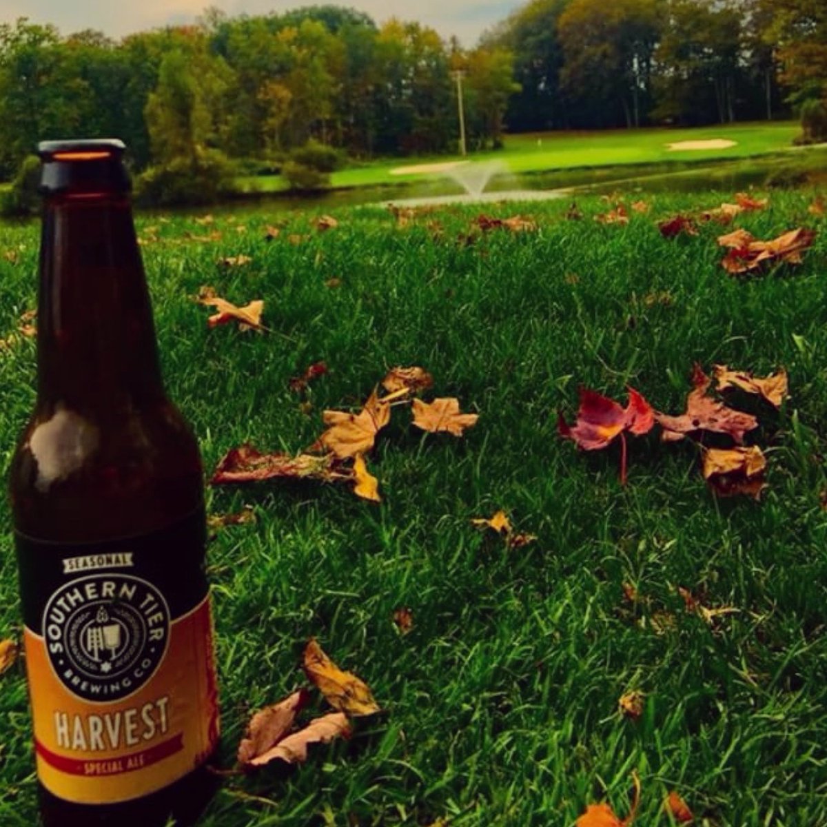 #Harvestmoon tonight... You know what to drink.
[📸 instaollie / IG]