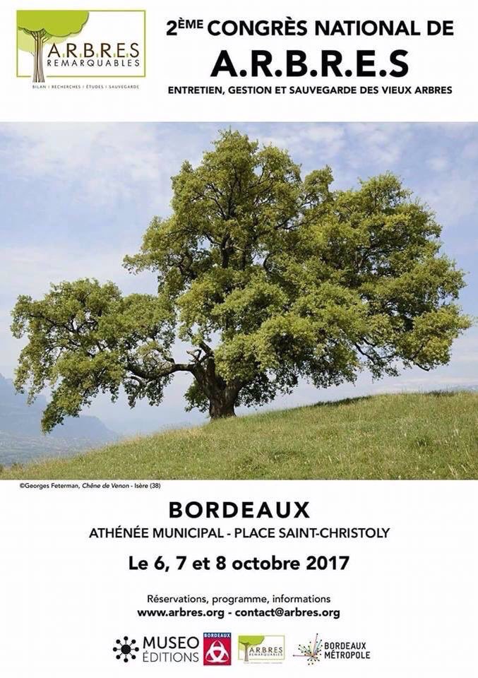Les vieux arbres à l'honneur. Demain <a href="/Bordeaux/">Bordeaux</a>. Ils nous fascinent, nous inspirent. Miroirs du temps qui passe (photos par <a href="/nikosaliagas/">Nikos Aliagas</a>)