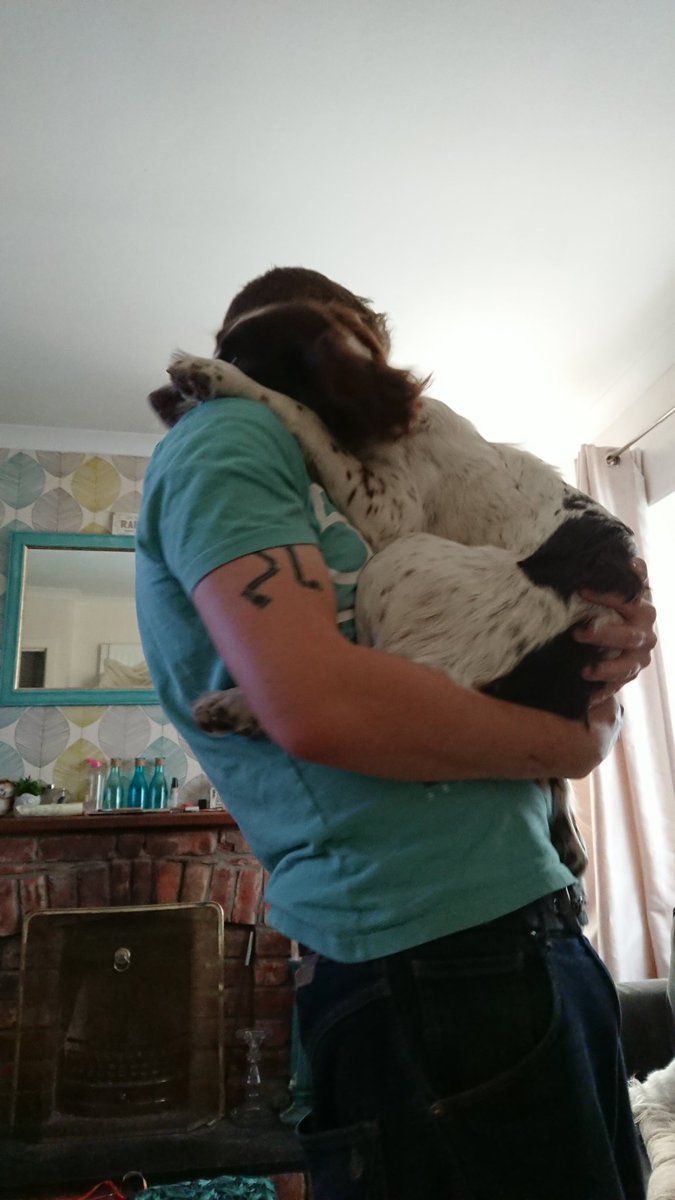 JilliHenderson1's tweet photo. I think my furbaby had a hard day #lunathelunatic #spanielbosies #bigbaby https://t.co/9VLHvmE1C3