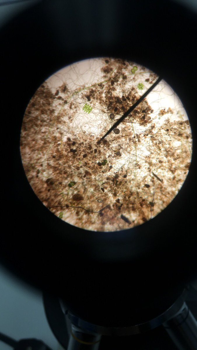 Kb__111's tweet photo. #wemakescience pt. 2 @pacehighbiotech https://t.co/FFIp1gIh2b