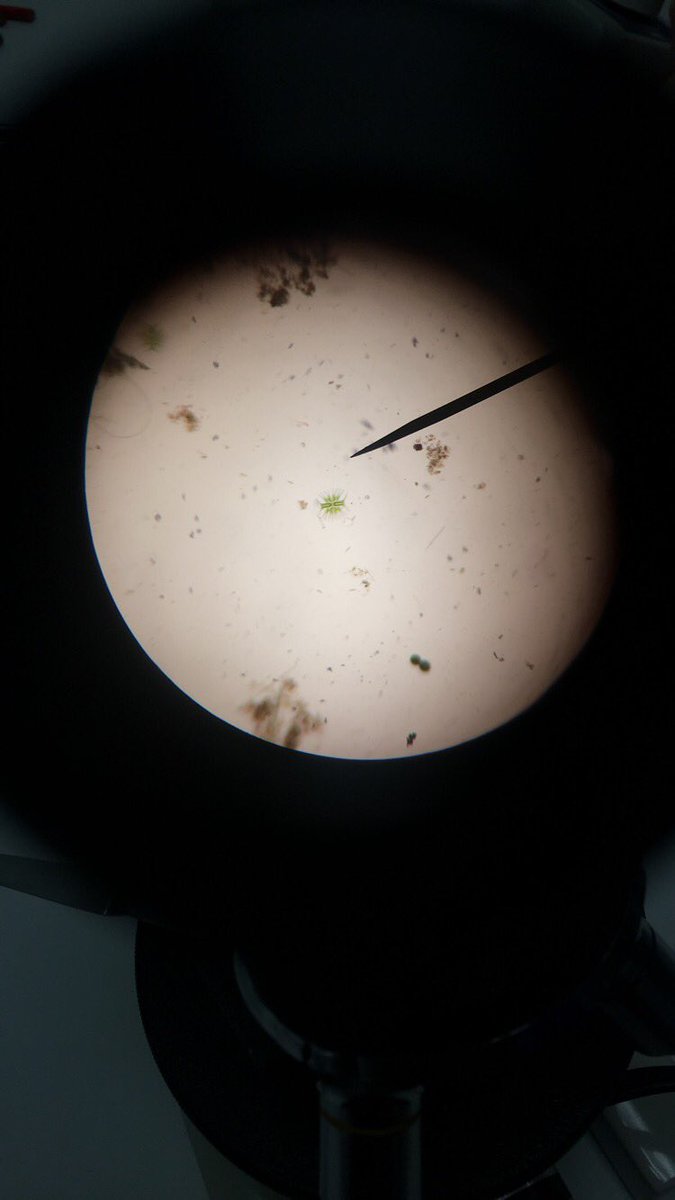 Kb__111's tweet photo. #wemakescience pt. 2 @pacehighbiotech https://t.co/FFIp1gIh2b