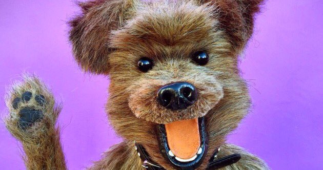 Hacker T Dog tweet media