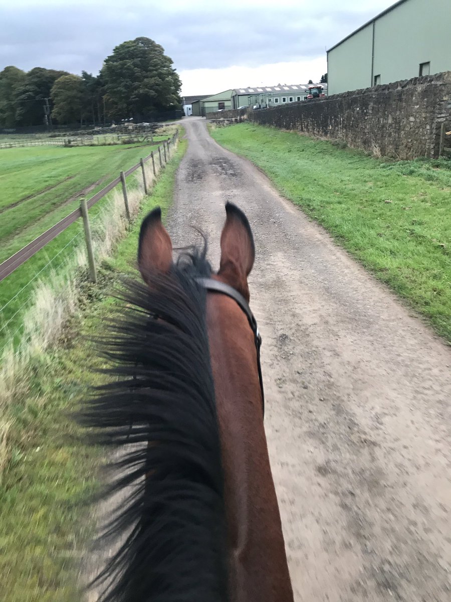 tonykelly89's tweet photo. Nice 1st lot back after 9 weeks #valzan #dude https://t.co/CmrkPzwxiq