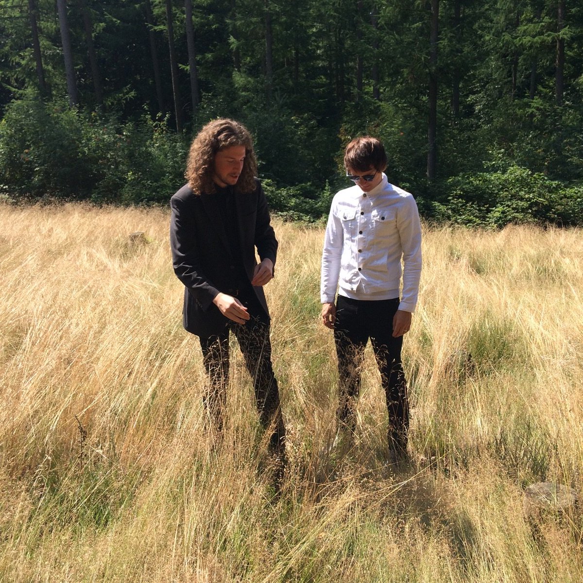 Elementary Penguins tweet media