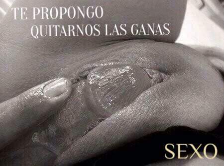 Discreto1626's tweet photo. @camila2017_01 Uuuuyyyyy te vez  Rica e excitante.. Pasemos un Rico y Ardiente Momento de placer.. https://t.co/kbHi7iGGIM