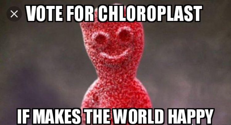 chlor0plastz's tweet photo. VOTE CHLOROPLAST #organellewarsOlu @allshookupbybio https://t.co/vFI0V6ybU3