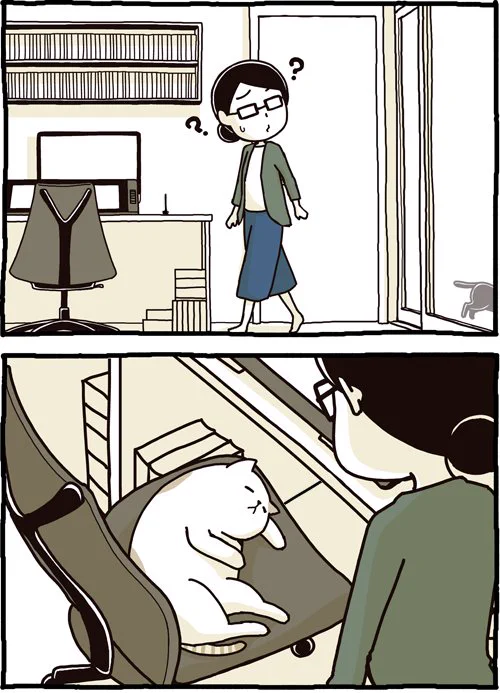 猫も実は群れる動物？人や獲物に対して囮や陽動作戦を行っている可能性があるｗｗｗ