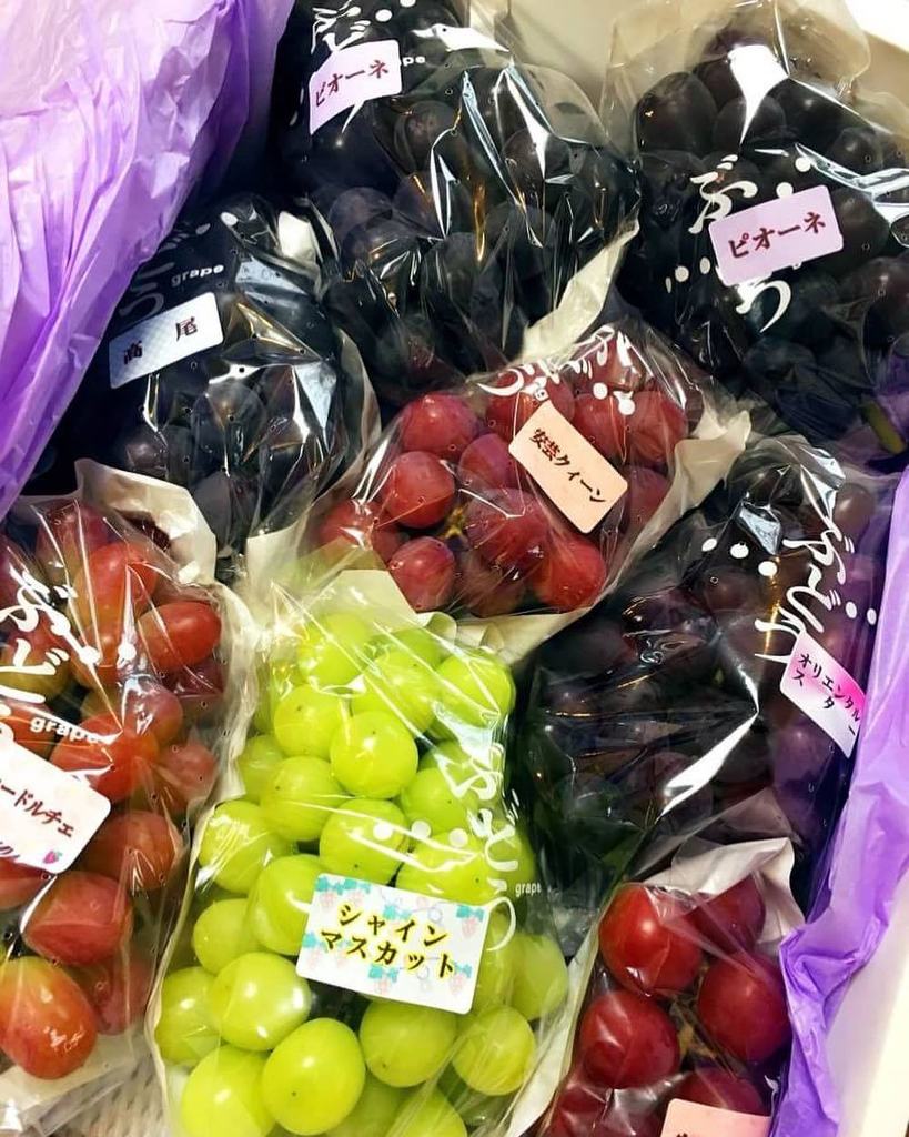 MistuyukiM's tweet photo. 山形から葡萄が届いた！
#葡萄 #ぶどう #グレープ #ぶどう #山形産 #ピオーネ #高尾#安芸クィーン #オリエタルスター#サニードルチェ #シャインマスカット #grape #美味しい#甘い #果物 #フルーツ https://t.co/JC9qToRcNP https://t.co/hrvaSkFnYF