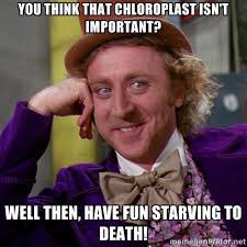 Chloroplast4win's tweet photo. We make the basic ingredient of life OXYGEN https://t.co/d1I8WNKn6d