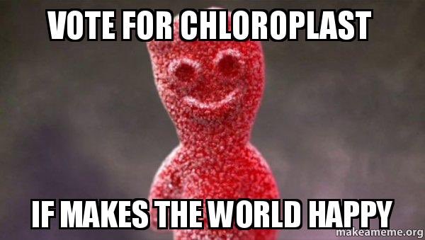 Chloroplast4win's tweet photo. Wether you like sweet or sour a vote for chloroplast is the choice of the hour https://t.co/RIS9T9ASp2