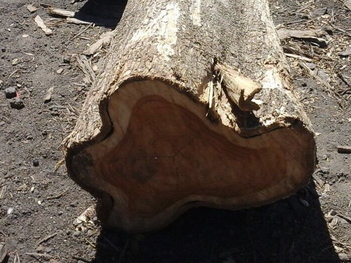 WAMLOGISTICS's tweet image. 9750 cbm 70+ Available