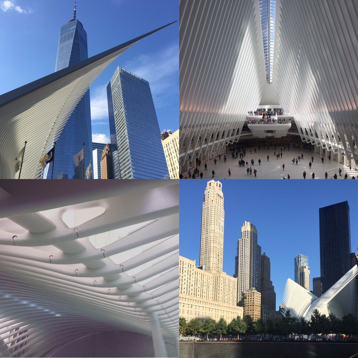 DianaVillarreal's tweet photo. #911memorial #calatrava #oneworldtower #nyc https://t.co/AMVexM7XUR