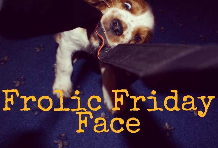 Woohoo - it's Friday!! #dogsoftwitter #friday #fri-yay #puppy