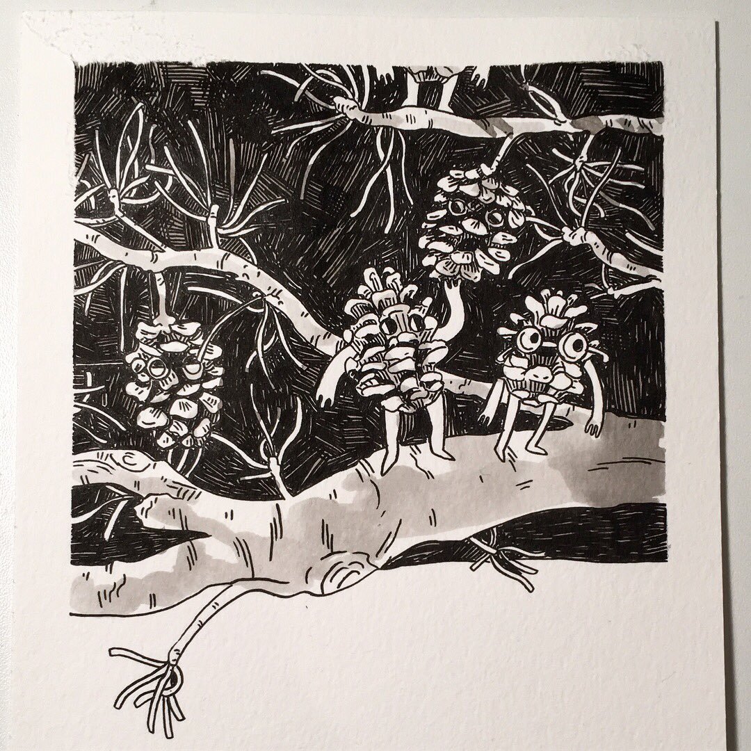 Lil pinecone buds for #inktober day 12 