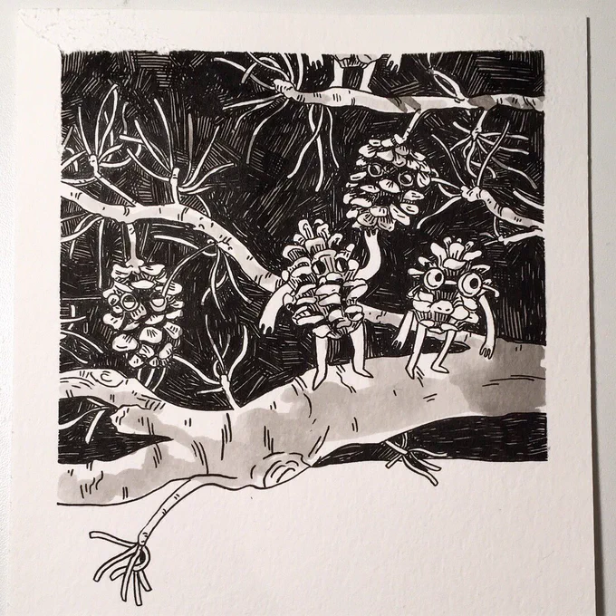Lil pinecone buds for #inktober day 12 