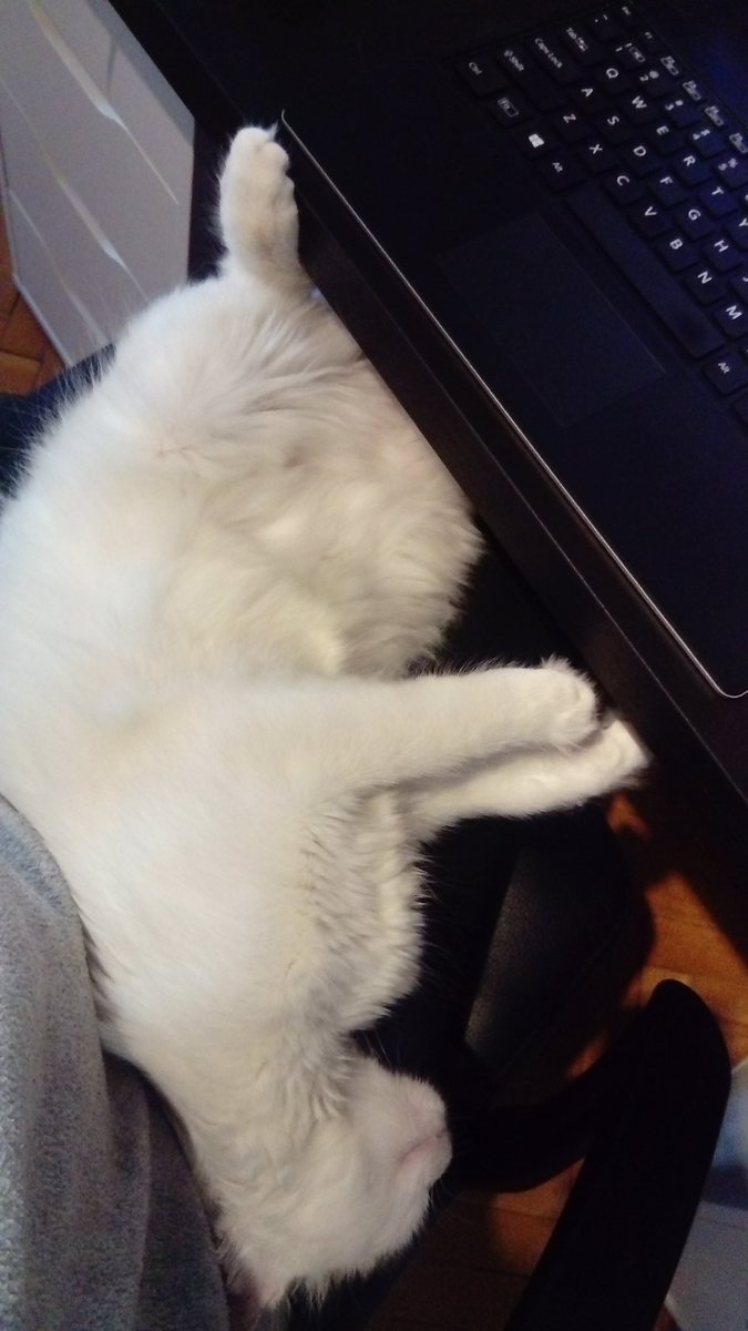 Добър ден от домашния офис