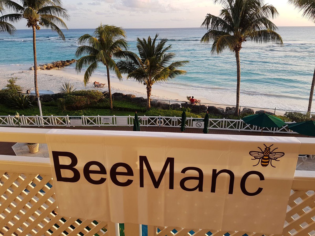 bee_manc's tweet photo. #beemanc where ever you go. One of our fab customers with our new micro fibre towel in Barbados https://t.co/WAt1QPD0TJ #Mancmade https://t.co/1PclcVWsjK