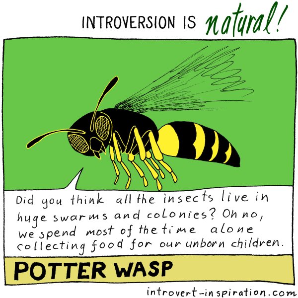IntrovertZayts's tweet image. Sometimes it seems that all insects live in swarms. But it's not true. Sometimes it seems that all humans live in swarms... #introvert
