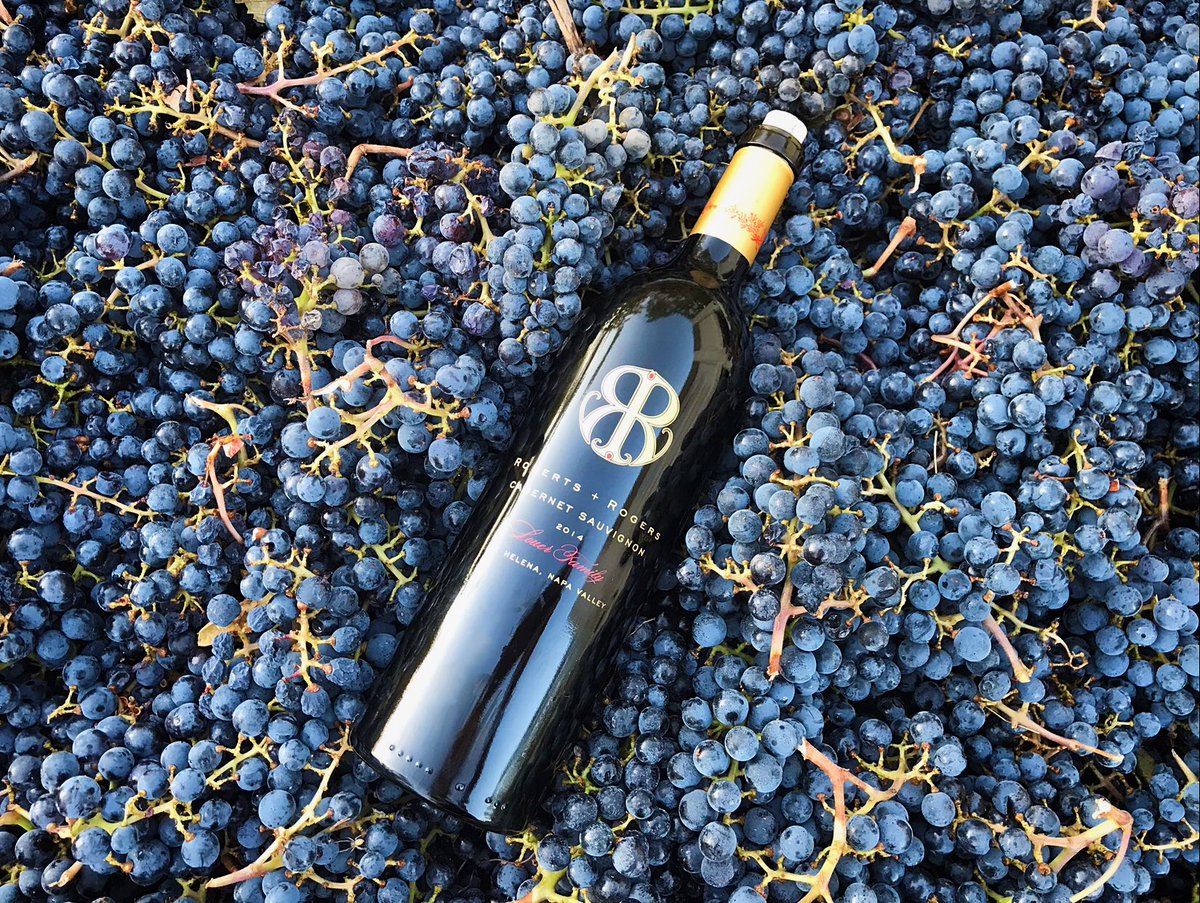RandRwinery's tweet photo. October means it’s Harvest time for our Louer Family Estate Cabernet Sauvignon grapes. 
#NapaValley #Cabernet #Wine #Vino #ThirstyThursday https://t.co/ABUrTiuRBb