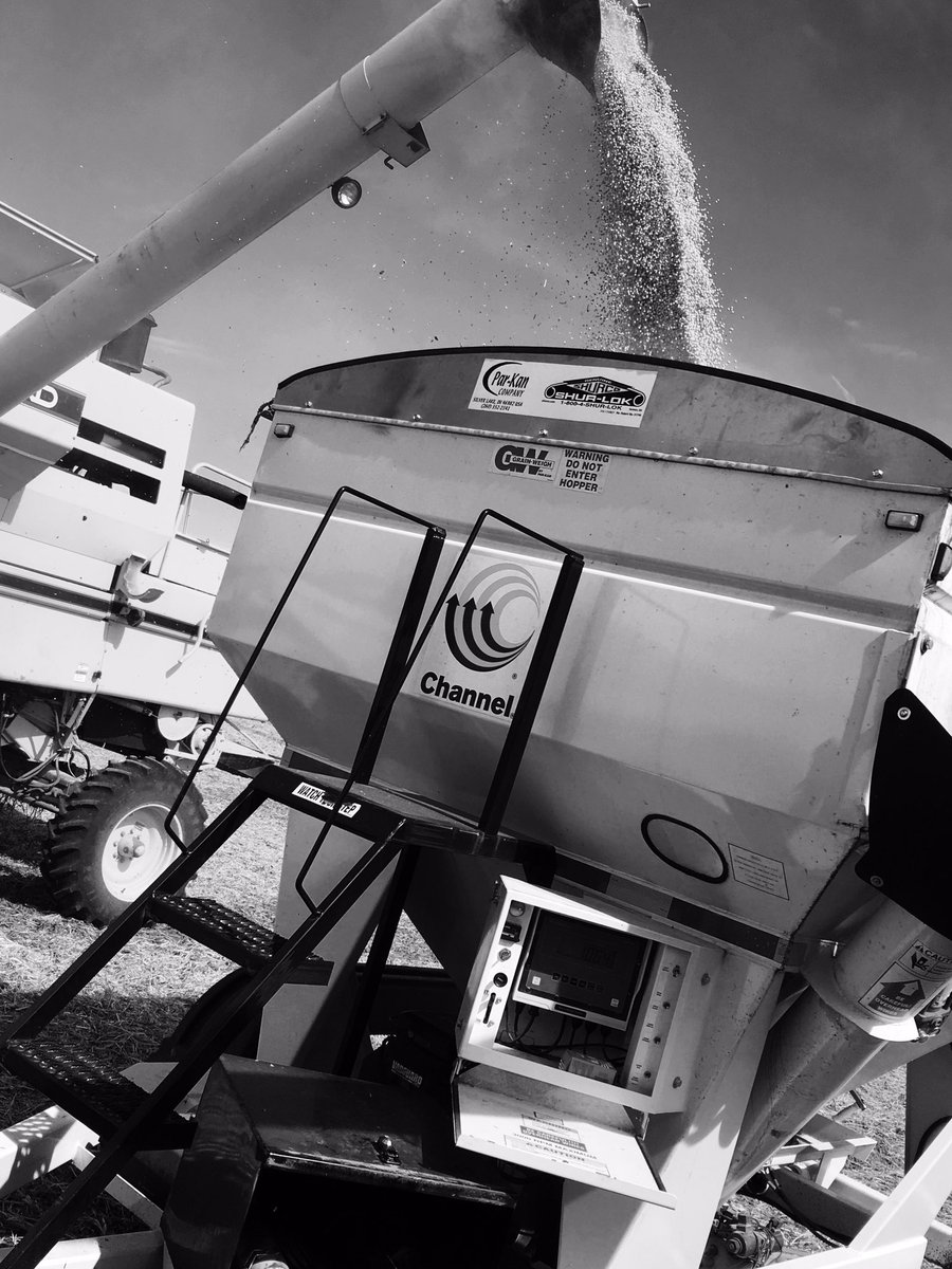 Welton Seed House (weltonseedhouse) Twitter