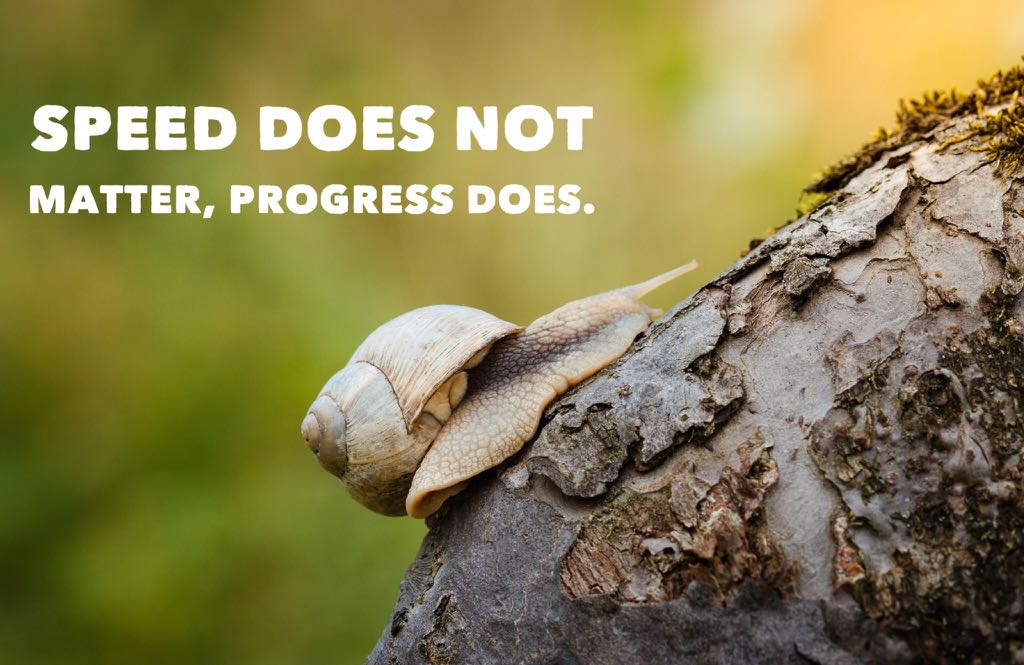 StaypositiveKM's tweet photo. Progress at any pace is still progress.
#staypositive #keepmovingforward #motivationalquotes #quoteoftheday #greatness #happiness https://t.co/ILl9c7afc3