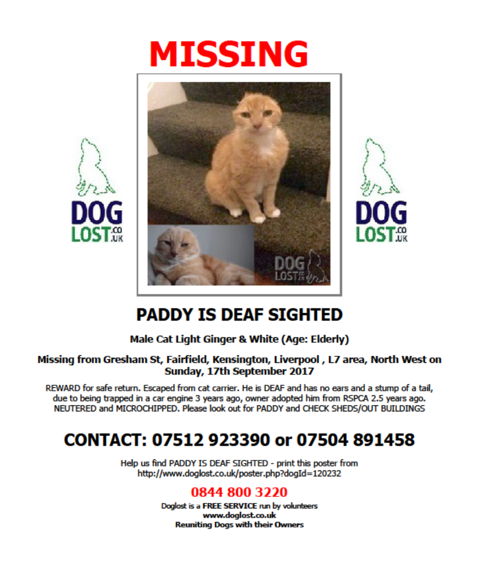 CatsMissing's tweet photo. 🆘#FindPaddy🆘DEAF SENIOR #Cat⚡SIGHTING 4/10/17 NR SHOPS EDGE LANE⚡Fairfield #Liverpool L7 Neutered #ScanMe @DoglostUK https://t.co/LXGxjHTnME https://t.co/HcgRP8e6tJ