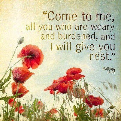 QuierAngel's tweet photo. #TrustGod🙏💙🙏💯💐#GodIsAlive🌟 #GodIsLove❤️#LoveGodAboveAll🌻🌹🌷#gratefulheart💚💛💗#alwaysgrateful💐💋💐#ToGodBeAllTheGlory👑#GodIsGoodAllTheTime💜 https://t.co/PYIkM8ghHu