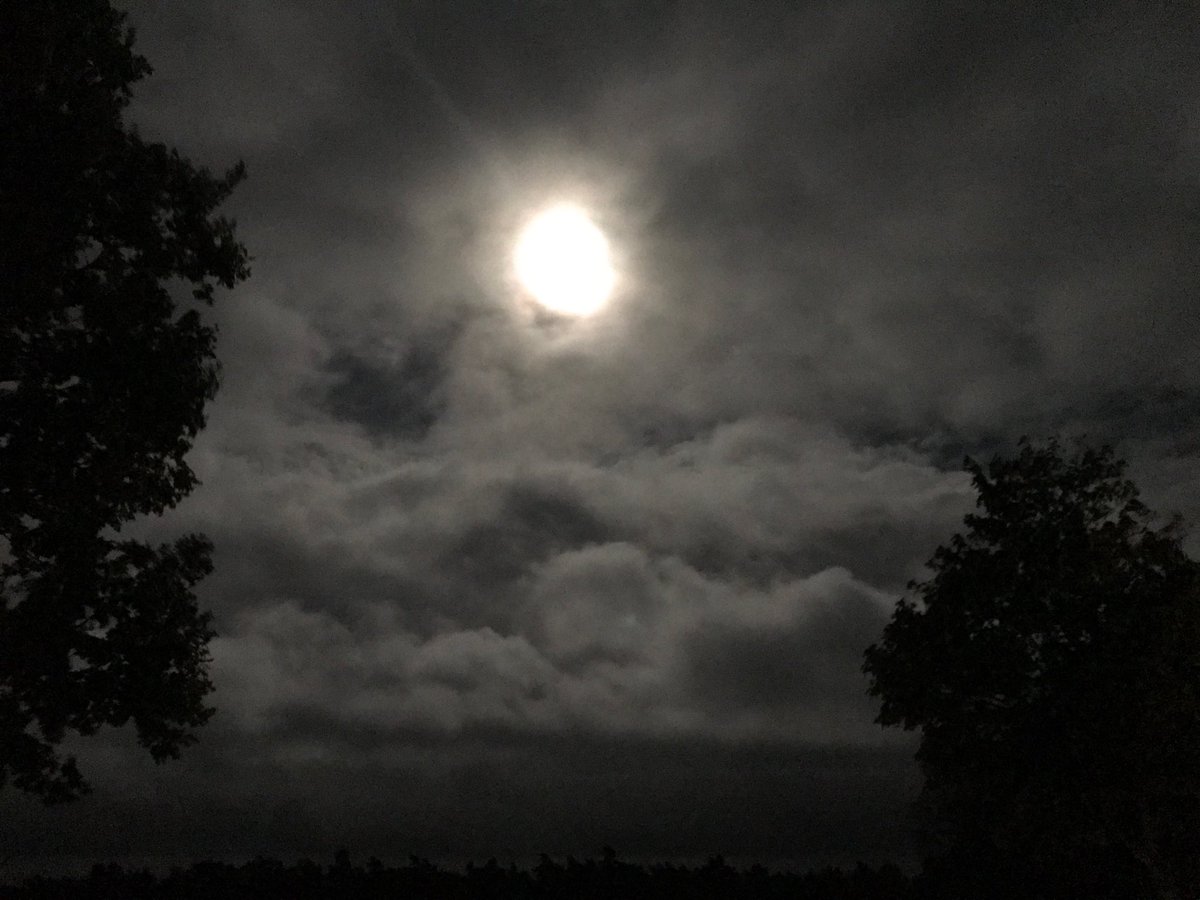 Vollmond in #Unterlüß. Still ruht der ICE. Nur die Wölfe heulen noch nicht. Schade  #Bahn <a href="/DB_Info/">Deutsche Bahn Verkehrsmeldungen</a> #Xaver