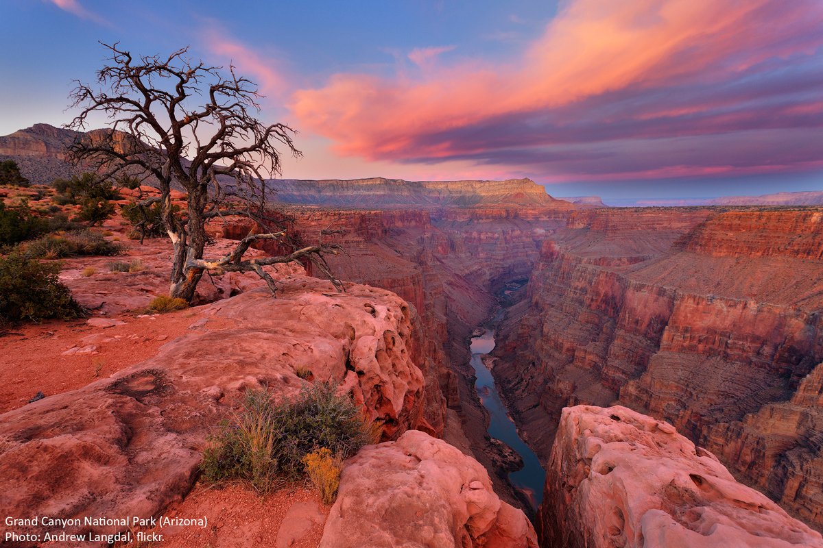 Wilderness's tweet photo. “Our remnants of wilderness will yield bigger values to the nation’s character &amp; health than they will to its pocketbook...” -Aldo Leopold https://t.co/EJ0BHzV3xH