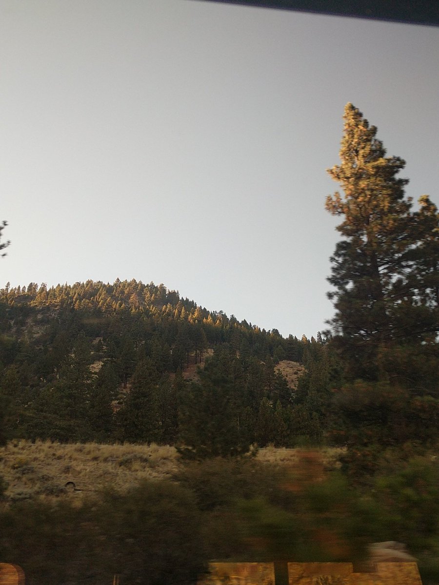 vsmarcuslewis's tweet image. @Amtrak is treating me so nice right now the views so far are incredible. Just crossed into Nevada. #amtrak #thezephyr #trainrides