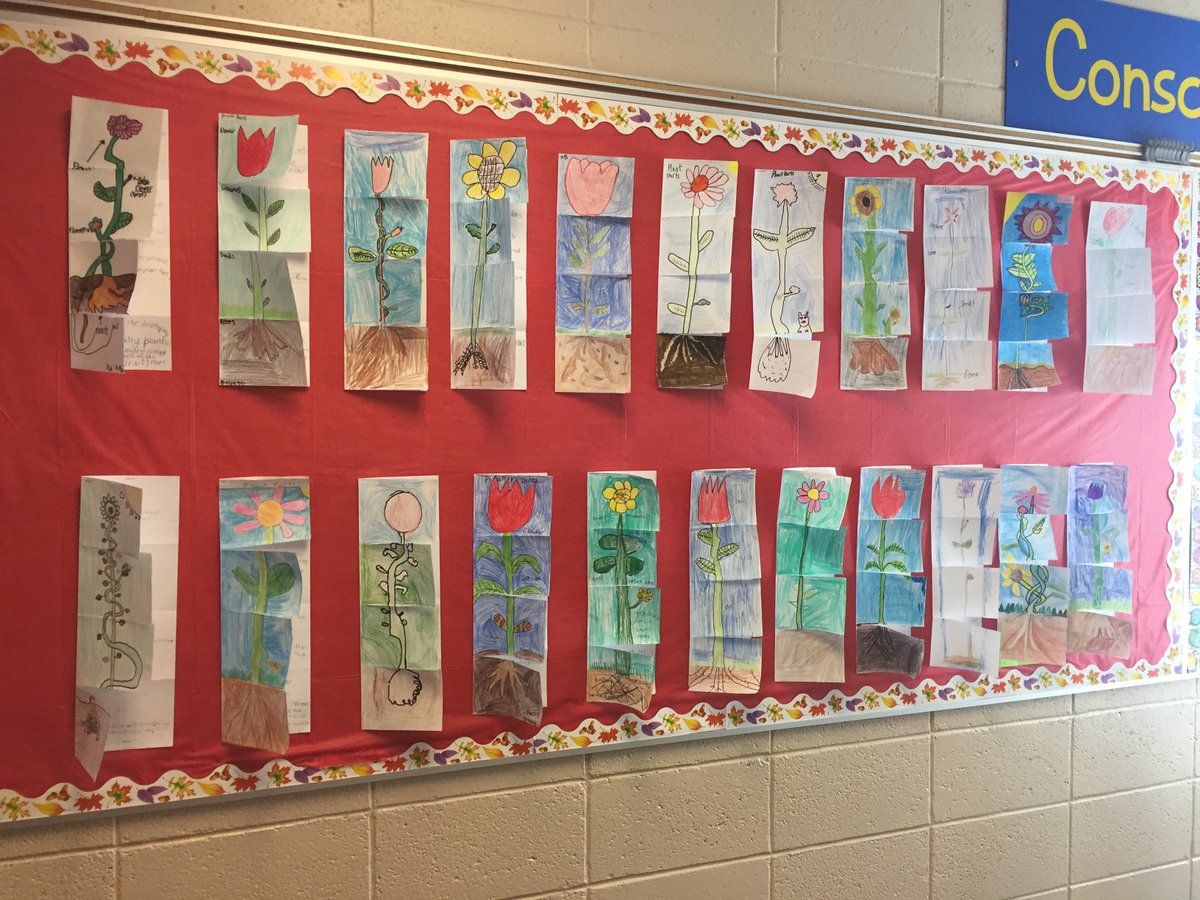abd4mb's tweet photo. An exciting week of learning: intermurals, plant foldables done and gourmet lettuce is making a comeback! #toomuchsunlight https://t.co/pHQaC3FEHs