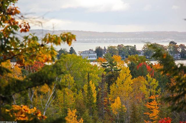 AroundMichigan's tweet photo. A beautiful shot of fall in Michigan's tunnel of trees from @winstonShull. https://t.co/xogPdEYPVC