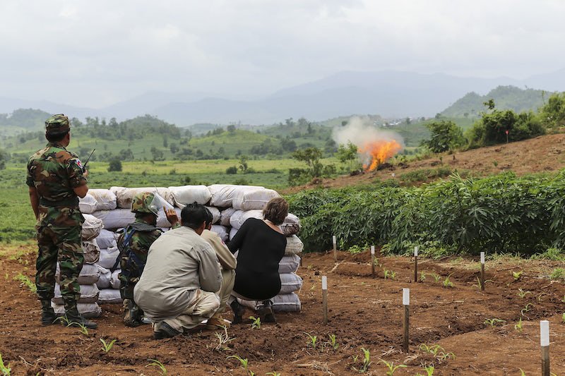 UNDP's tweet photo. Here's a #jobfact. Explosives experts, called #deminers, must detonate #landmines that are unstable to save lives: https://t.co/FIbAN1OzrQ https://t.co/VHiKDd7q5E
