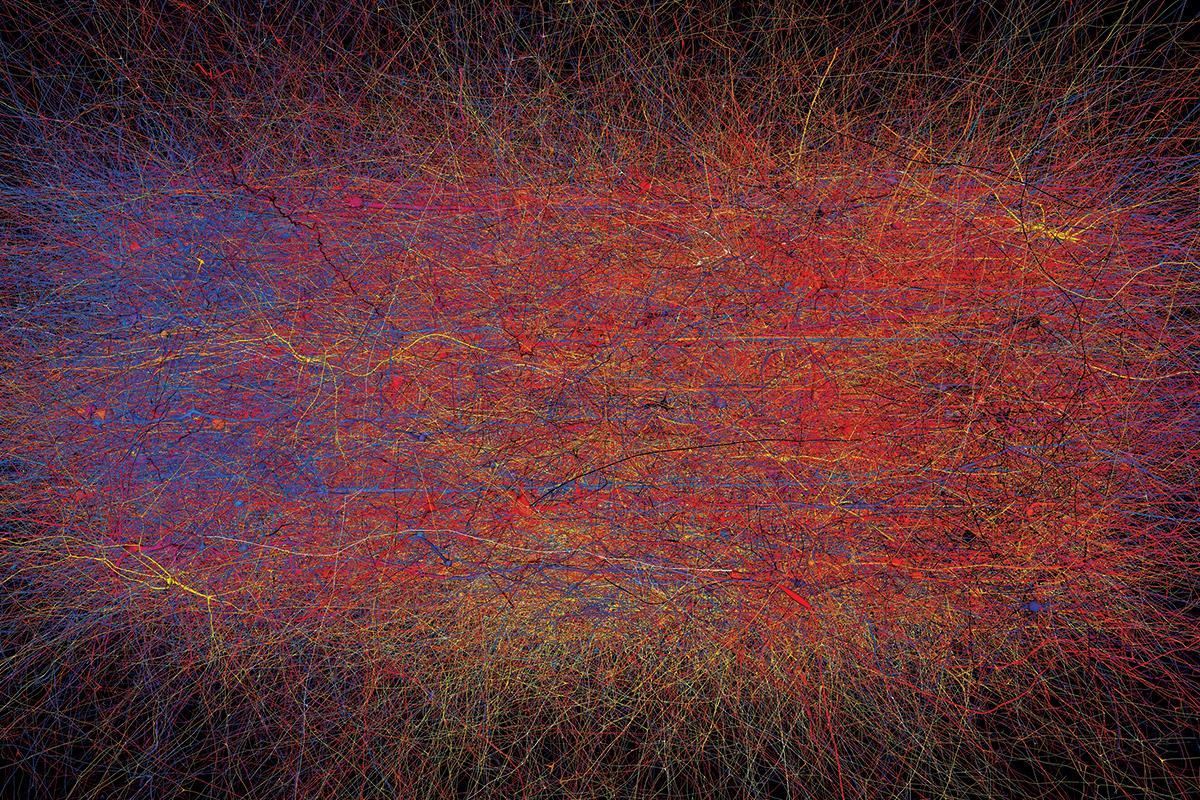 newscientist's tweet image. A project to simulate the brain inside a computer could unravel the mystery of consciousness newscienti.st/2y1O3SD