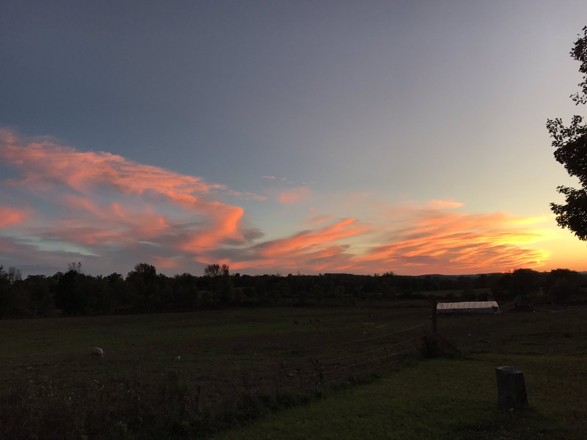 c_muran's tweet photo. Such a gorgeous sky tonight! #blessed #Godisgood #sunsets https://t.co/dUoUDcSlzt