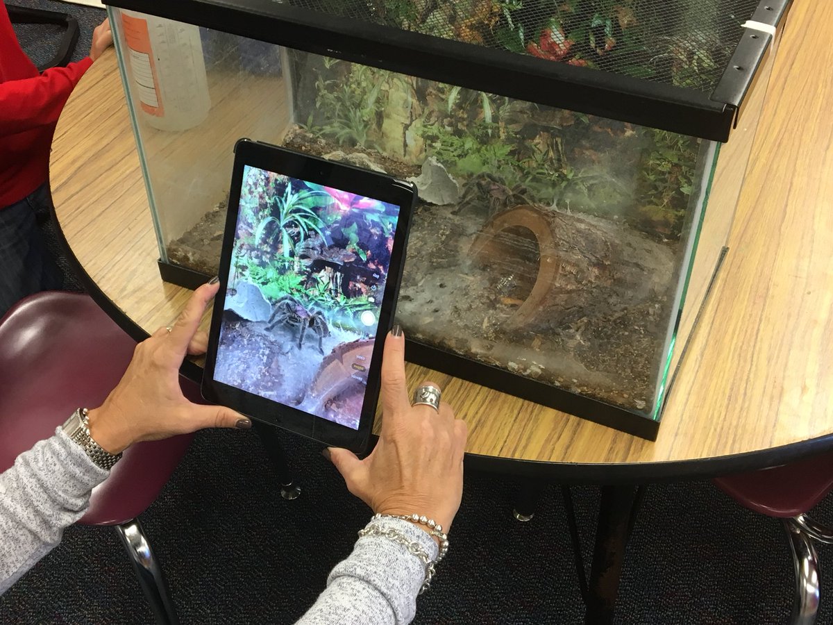 We got to observe Gator catch and eat some crickets this week! So many wonderings and questions answered. (Thx <a href="/Corinne_Duffy/">Corinne Duffy</a> for lending😊)