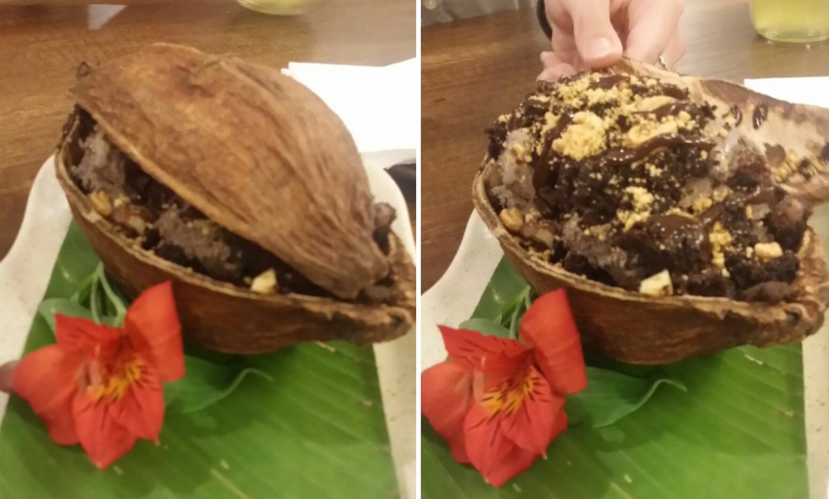 BigGreenPlan's tweet photo. Best #desert in a long time #chocolate #brownie with homemade choc #icecream in a cocoa pod. Peru recently won a Swiss Best Chocolate Award https://t.co/7TAq5gekk1