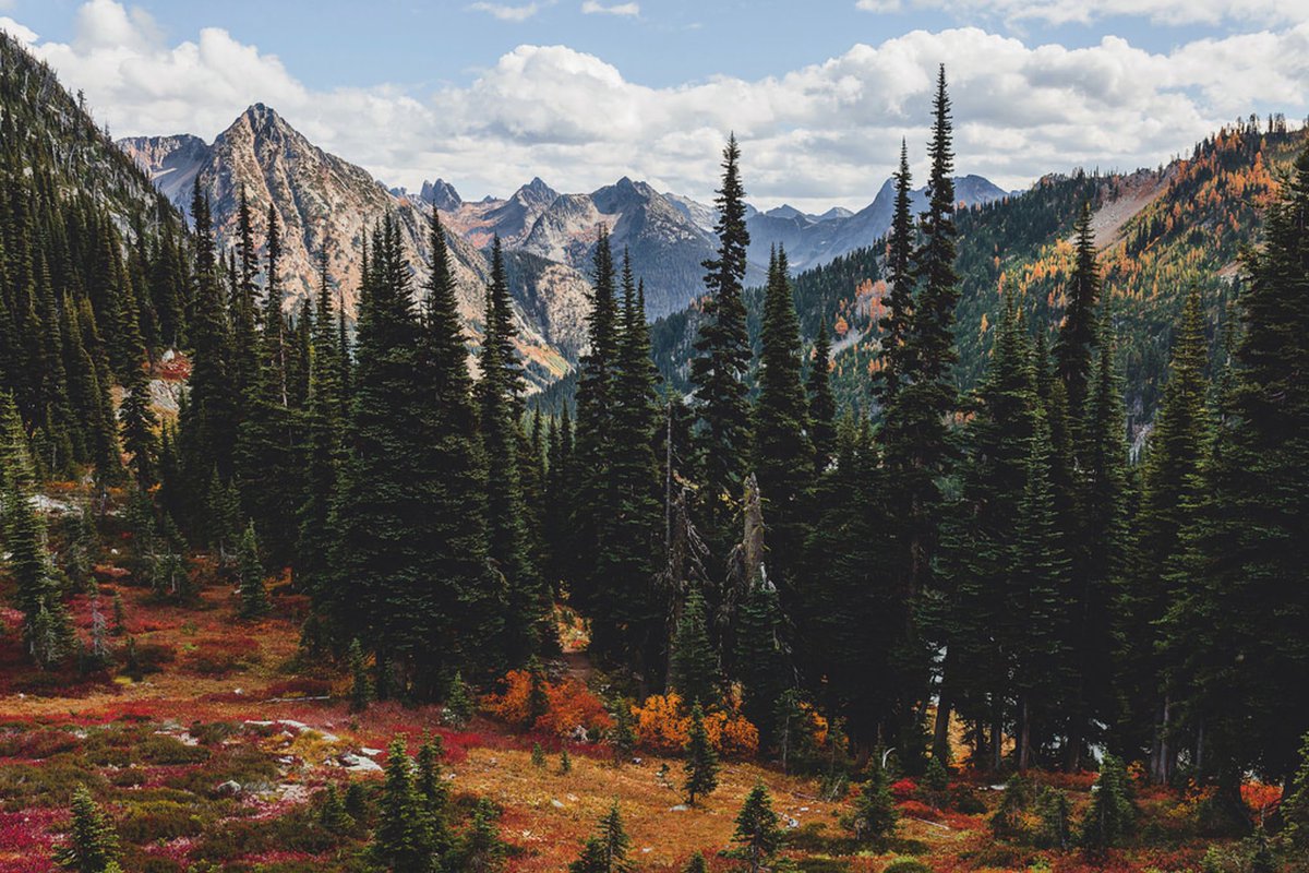 Interior's tweet photo. Autumn in #Washington's North Cascades is pretty amazing! Pic by Brian Stowell https://t.co/0imeARgKN9