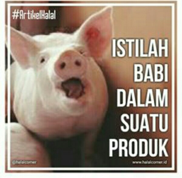 halalcorner's tweet photo. Istilah istilah yang berafiliasi dengan babi #HaraamReminder https://t.co/1wfO2fDRtl
