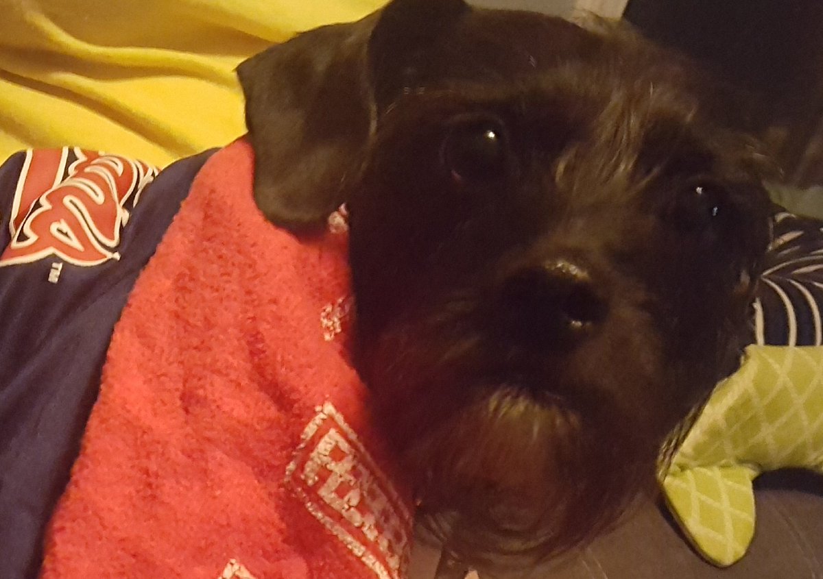Dante85365's tweet photo. @MrLapara @Lindor12BC @BauerOutage 

I live in Kentucky now because of my dad's new job. But I still love you! #RallyTogether https://t.co/pORP7Sb8k8