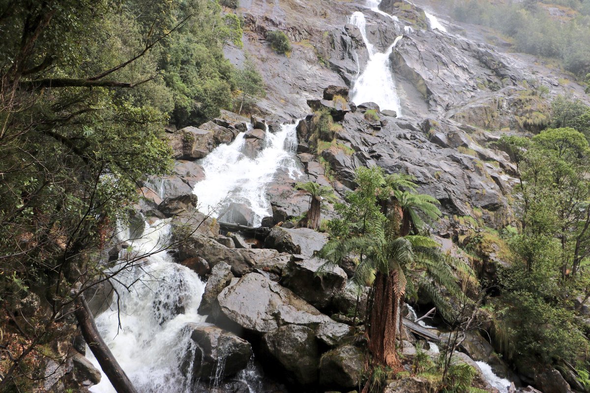 Clarissa_Thorpe's tweet photo. Discovered the rural village of #Pyengana #Tasmania... home of St Columba #waterfall and prizewinning Pyengana Cheddar cheese dairy farm. https://t.co/rmXw0RSwgr