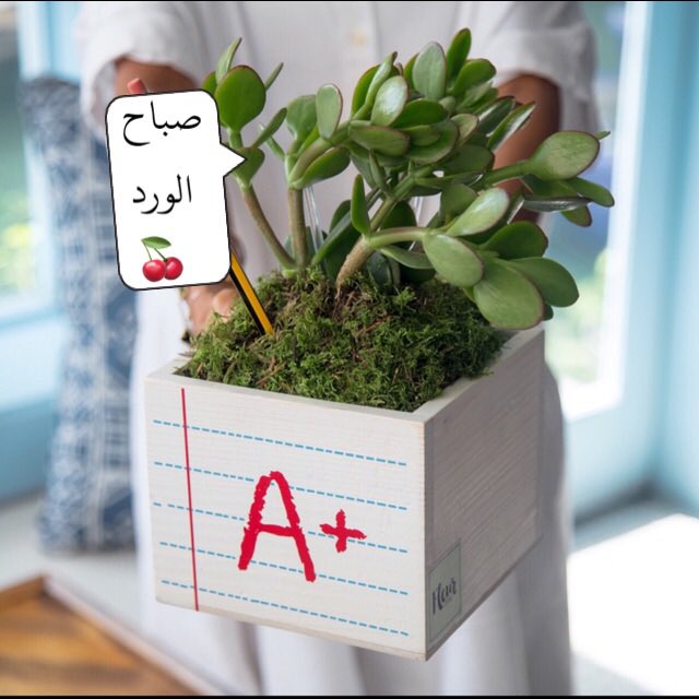 kaaraz_a's tweet photo. #InstArabic https://t.co/apmuOFEiLC